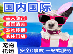 新桥机场空运国际宠物托运 【国